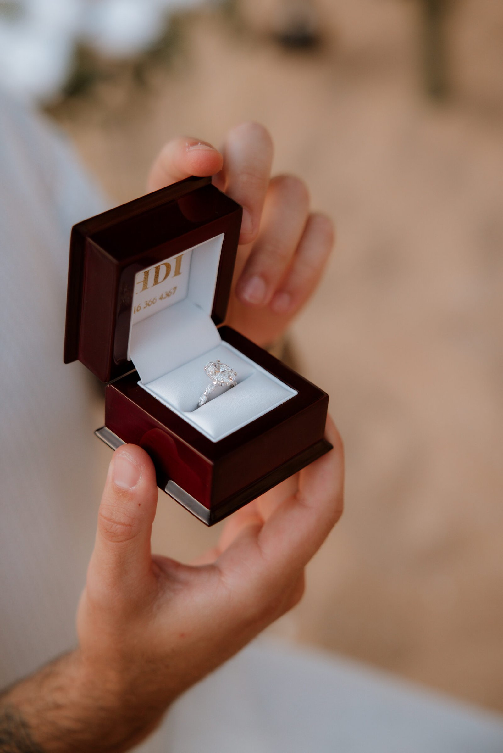 Marriage Proposal Algarve